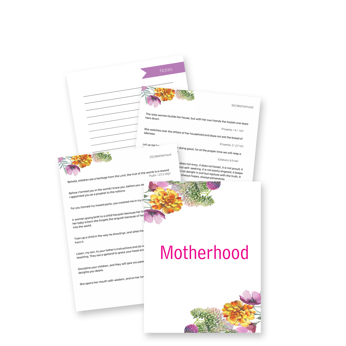 God's Word For Everyday Life Binder (140+ Pages)